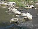 DSC00809.JPG