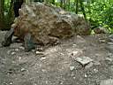 DSC05346.JPG