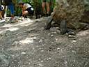 DSC05348.JPG