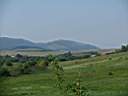 IMG_4711.JPG